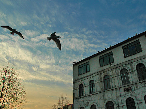 Foto Istanbul