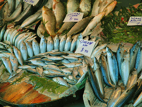 Istanbul Fotos